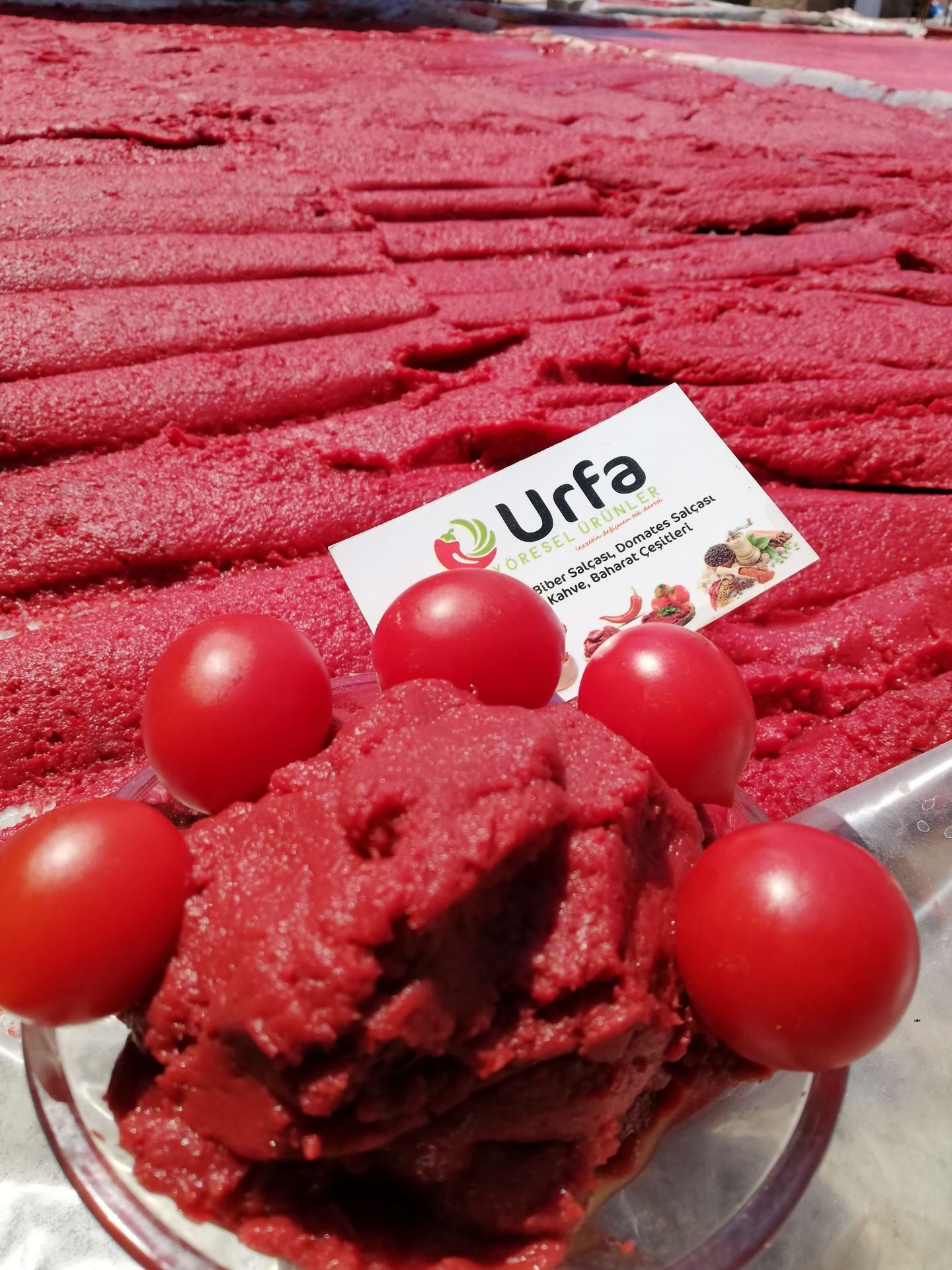 1 KG DOMATES SALCASI