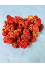 ACI BIBER DOLMASI 50 adet
