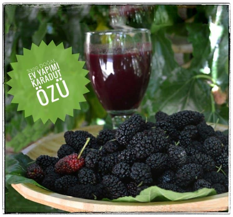 500 GR   KARADUT ÖZÜ