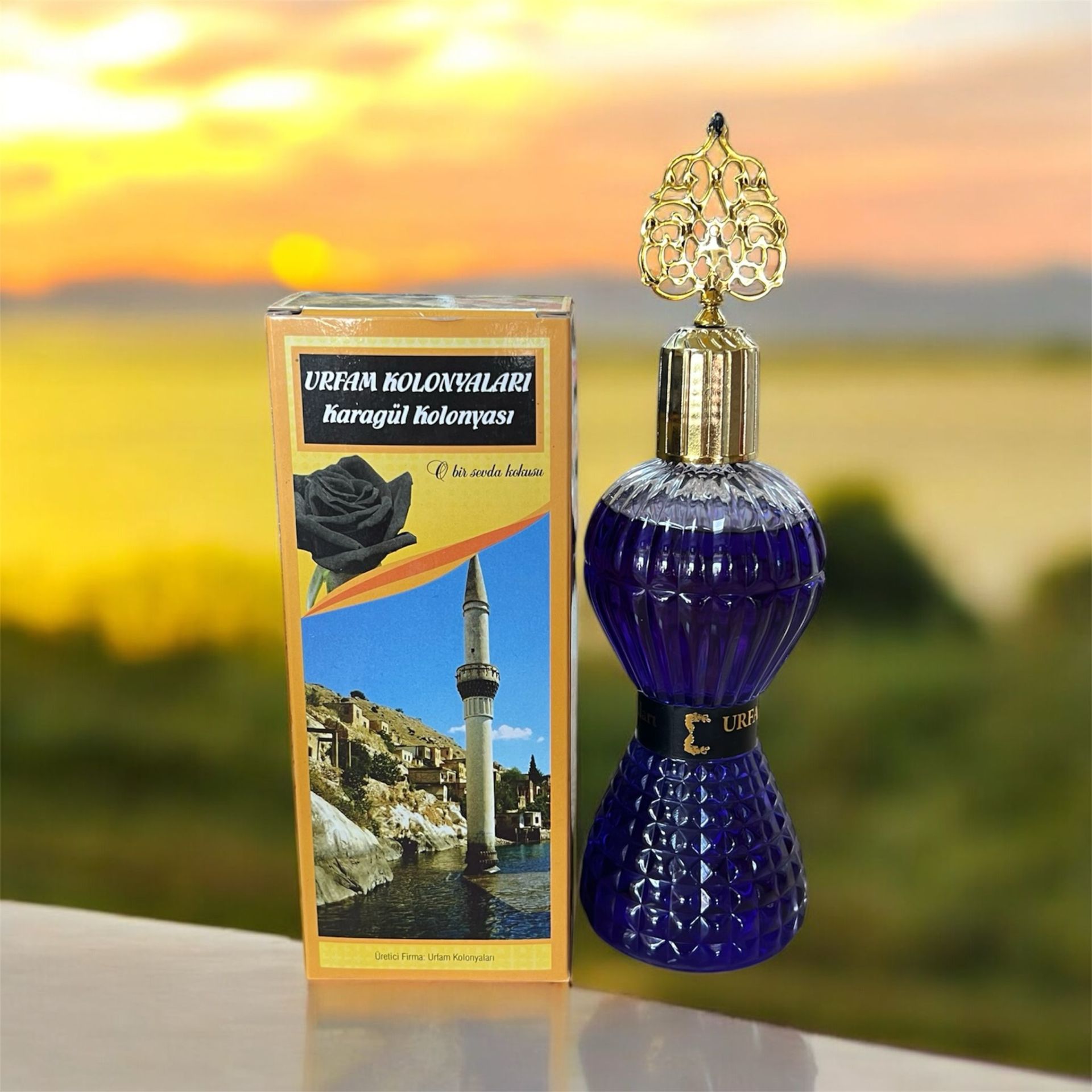 Karagül Kolonyası